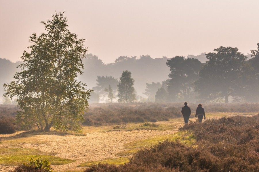 4 mooie wandelroutes in Noord-Holland