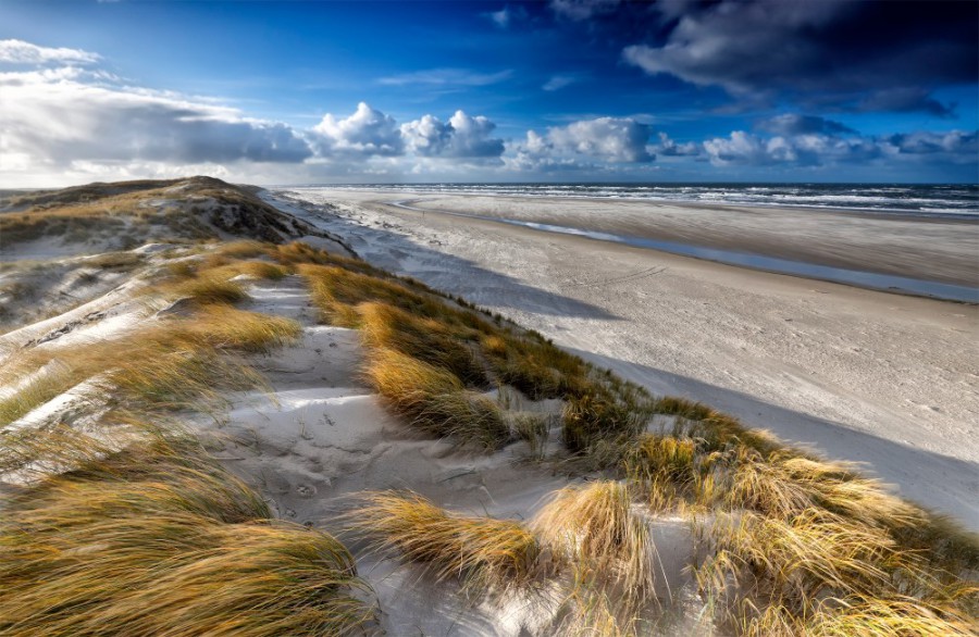 6 uitjes in de Nederlandse natuur