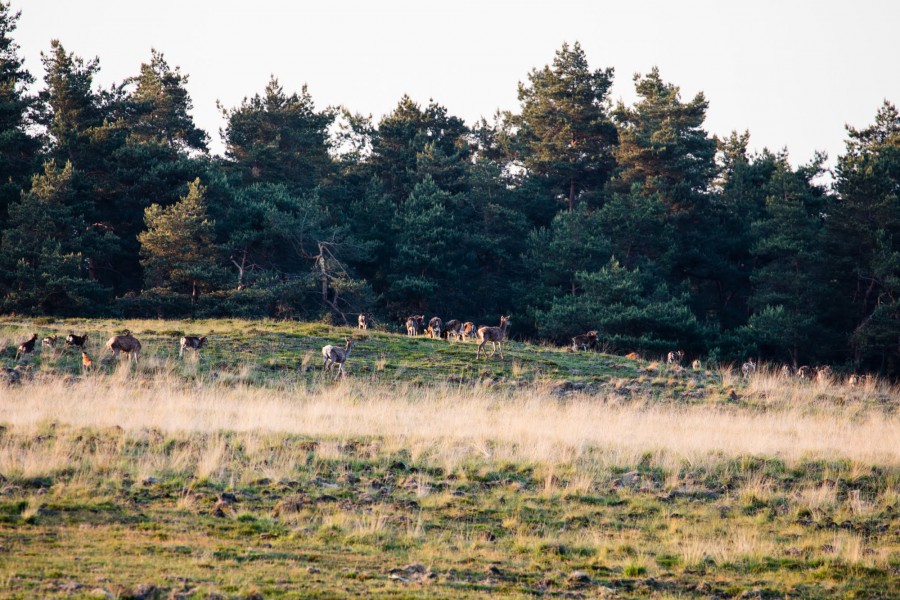 A Dutch Experience stuurt toeristen op ontdekkingsreis in eigen land A Dutch Experience stuurt toeristen op ontdekkingsreis in eigen land