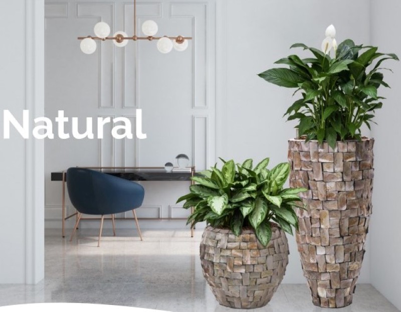 Plantenbakken met respect voor de natuur Plantenbakken met respect voor de natuur