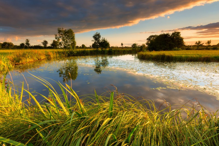 5 wandelroutes in Overijssel 5 wandelroutes in Overijssel