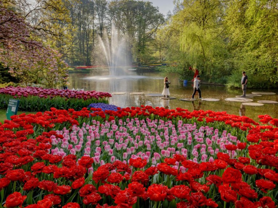 KEUKENHOF: HET MOOISTE LENTEPARK TER WERELD KEUKENHOF: HET MOOISTE LENTEPARK TER WERELD