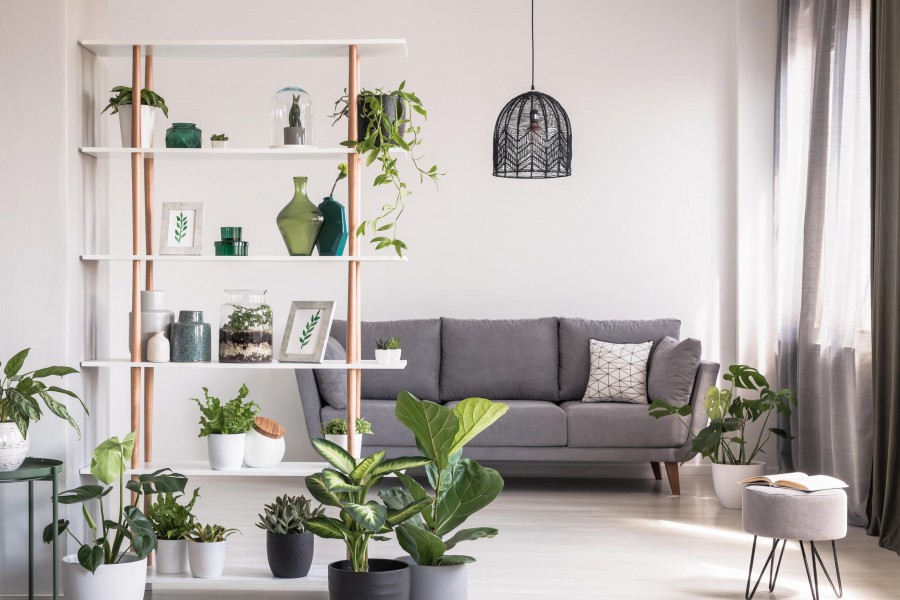 Hoe houd je kamerplanten gezond in het najaar? Hoe houd je kamerplanten gezond in het najaar?
