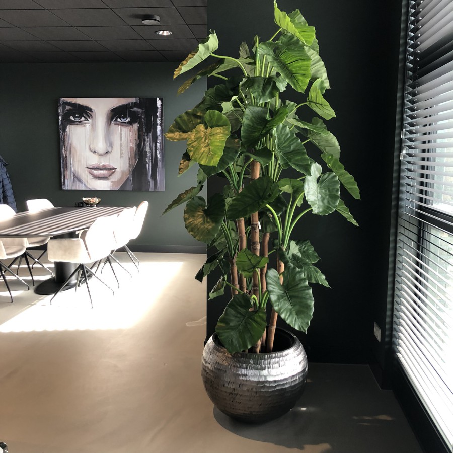 Kunstplanten voor kantoor Studio DWP Kunstplanten voor kantoor Studio DWP