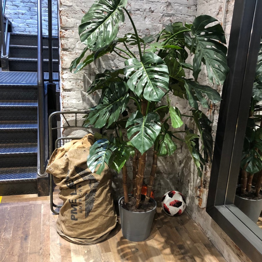 Kunstplant van de maand juni: Monstera Kunstplant van de maand juni: Monstera