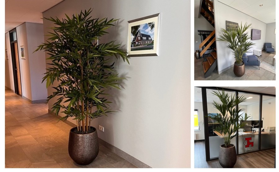 Projectbeplanting voor Aannemingbedrijf Kuin met kunstplanten Projectbeplanting voor Aannemingbedrijf Kuin met kunstplanten