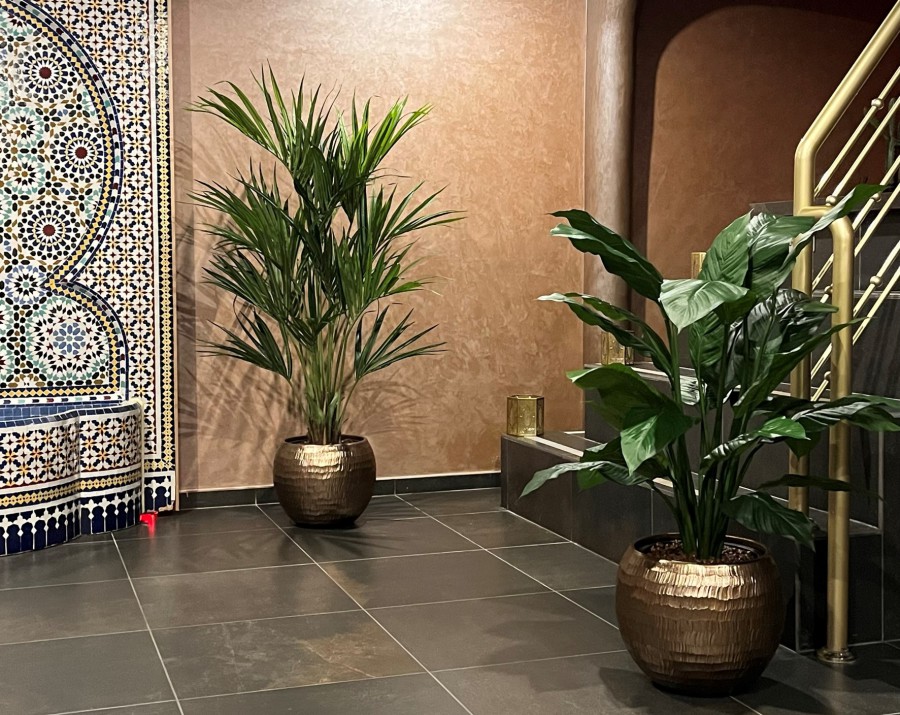 Kunstplanten in oosterse sfeer Kunstplanten in oosterse sfeer