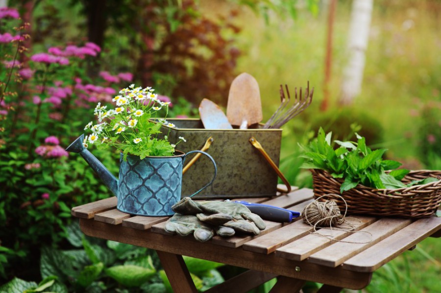 Tuin tips voor de maand augustus Tuin tips voor de maand augustus