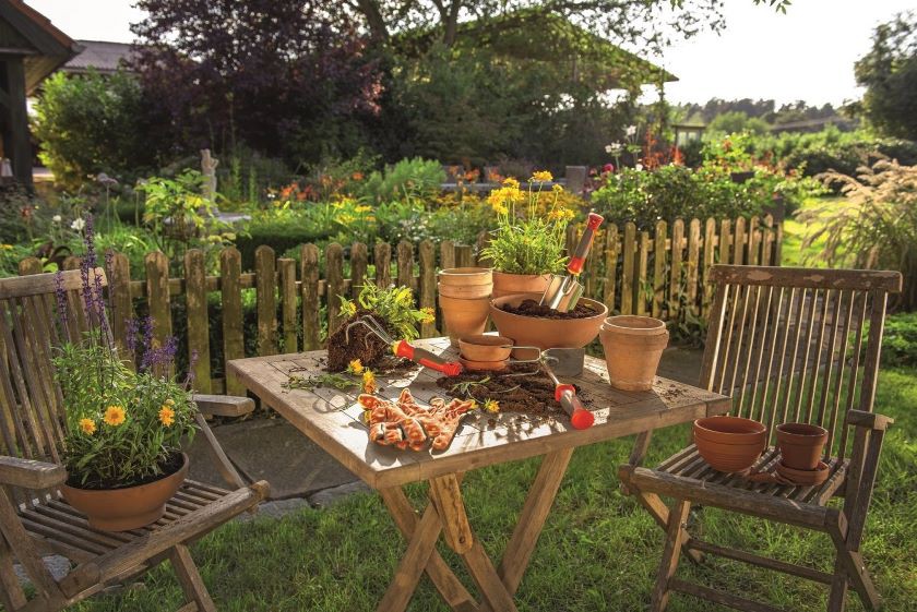 Tuinmonitor 2020: cijfers en feiten over Nederlanders en tuinieren Tuinmonitor 2020: cijfers en feiten over Nederlanders en tuinieren