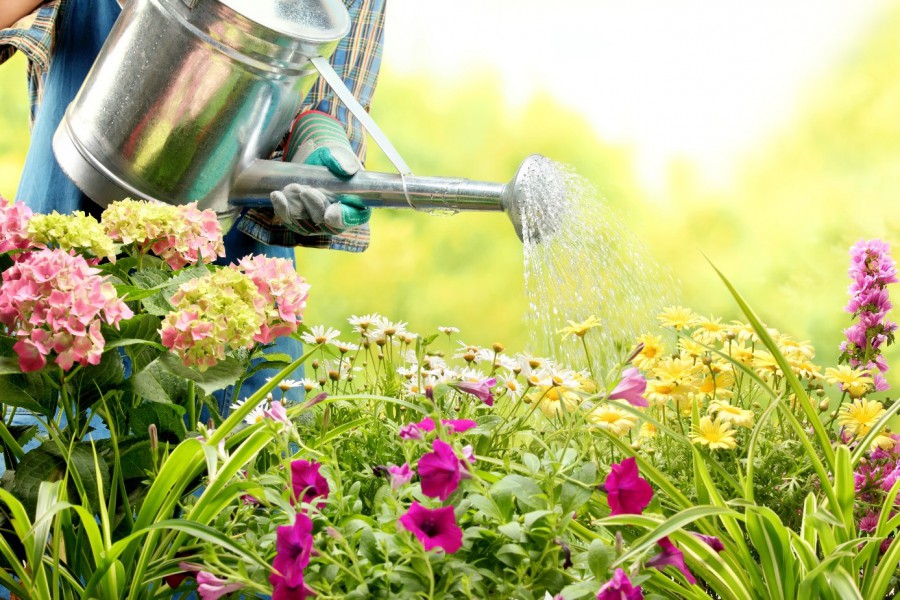 Tuinplanten  beschermen tegen de zon