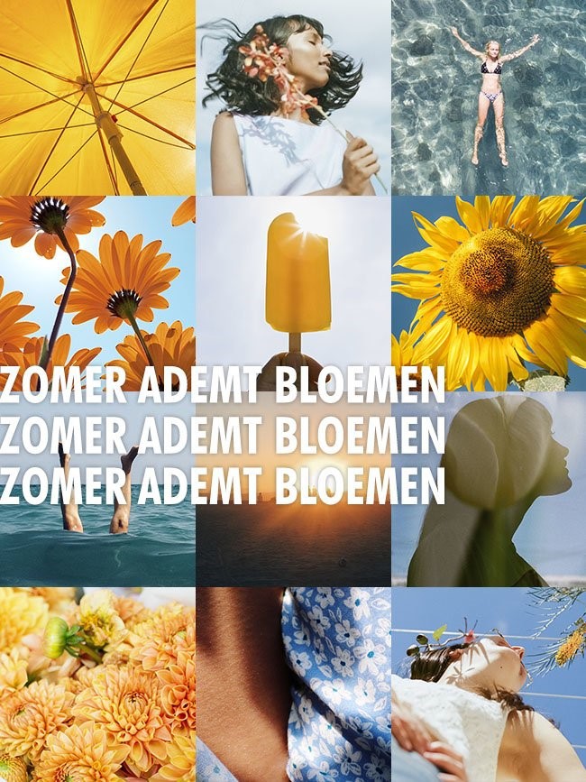 ZOMER Een bloemenzee aan inspiratie ZOMER Een bloemenzee aan inspiratie