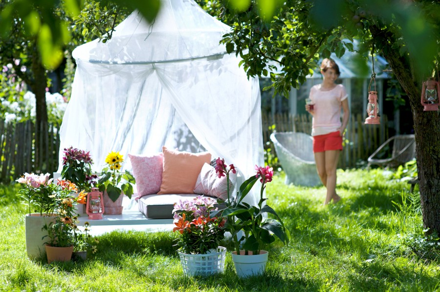 Zomer in de tuin. Zomer in de tuin.