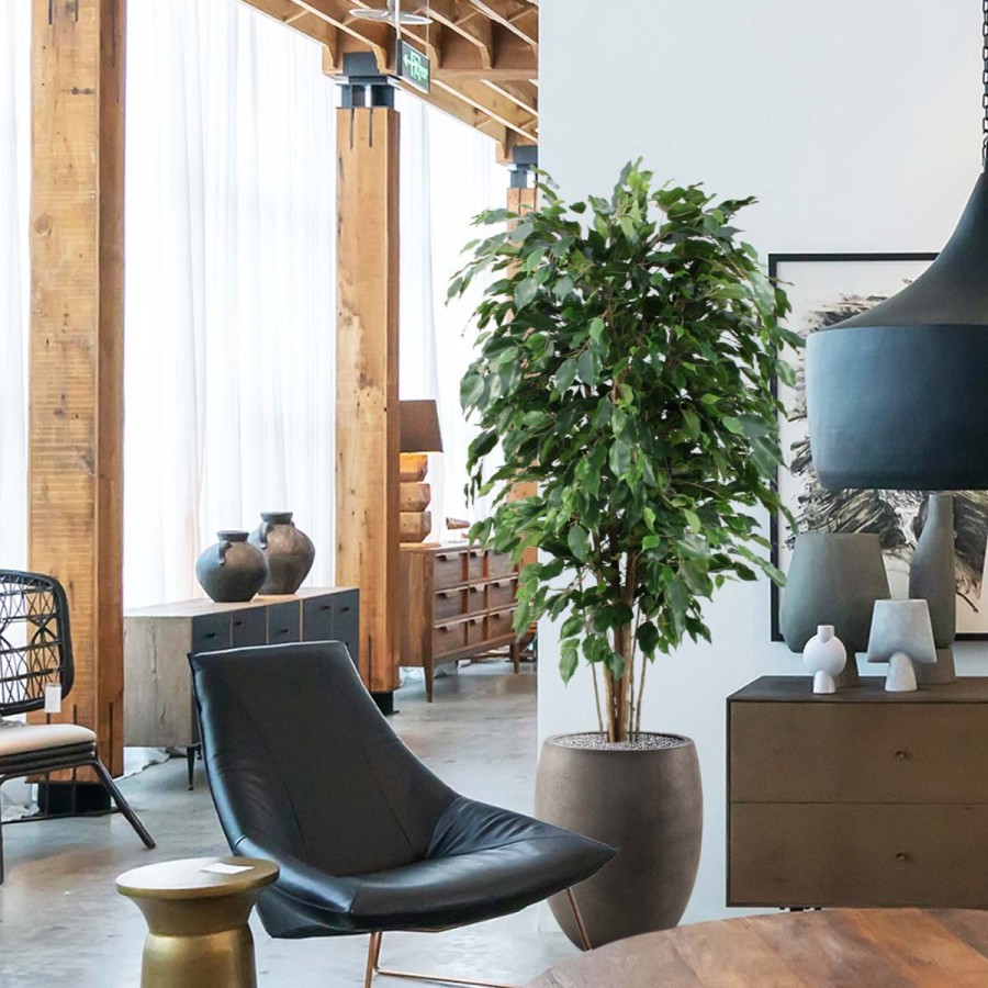 Groen zonder zorgen - ontdek de Ficus Exotica Deluxe kunstplant Groen zonder zorgen - ontdek de Ficus Exotica Deluxe kunstplant