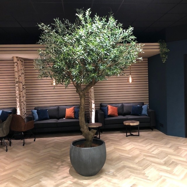 Haal de vakantie in huis met een kunst olijfboom Haal de vakantie in huis met een kunst olijfboom