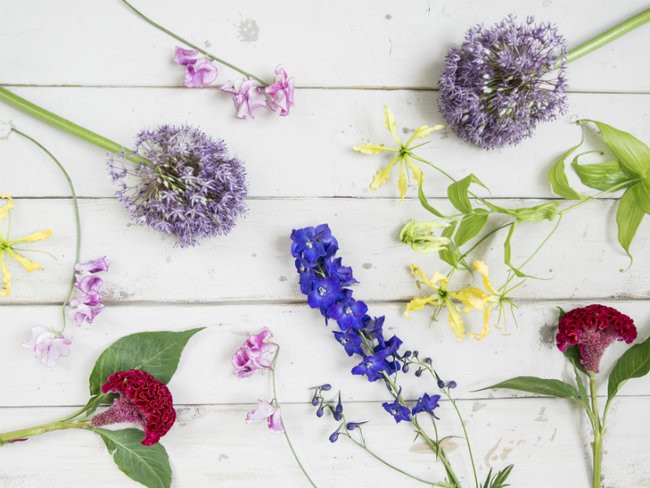 TYPISCHE ZOMERBLOEMEN