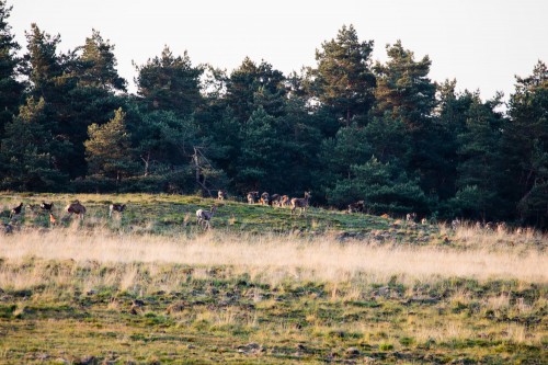 A Dutch Experience stuurt toeristen op ontdekkingsreis in eigen land A Dutch Experience stuurt toeristen op ontdekkingsreis in eigen land