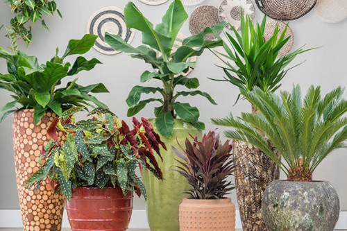 Stijltrend Blended Cultures: een bonte mix van stijlen Stijltrend Blended Cultures: een bonte mix van stijlen