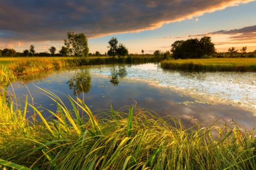 5 wandelroutes in Overijssel 5 wandelroutes in Overijssel