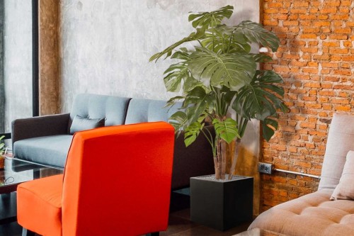 Kunstplant Monstera, het mooiste alternatief voor een echte! Kunstplant Monstera, het mooiste alternatief voor een echte!