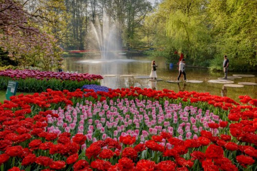 KEUKENHOF: HET MOOISTE LENTEPARK TER WERELD KEUKENHOF: HET MOOISTE LENTEPARK TER WERELD