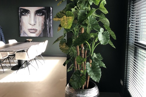 Kunstplanten voor kantoor Studio DWP Kunstplanten voor kantoor Studio DWP