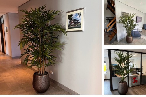 Projectbeplanting voor Aannemingbedrijf Kuin met kunstplanten Projectbeplanting voor Aannemingbedrijf Kuin met kunstplanten