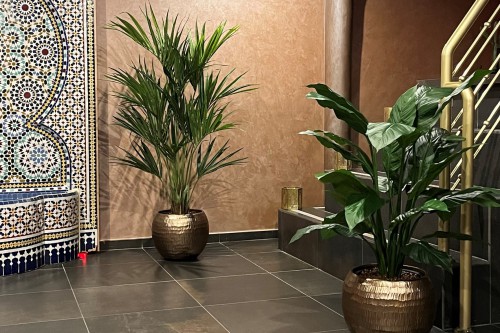 Kunstplanten in oosterse sfeer Kunstplanten in oosterse sfeer