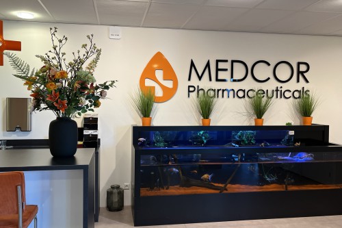 Kunstplanten voor kantoor Medcor Kunstplanten voor kantoor Medcor