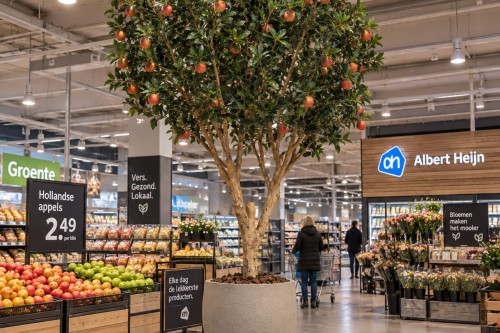 Mooie kunst Appelboom van 280cm hoog, Nu te koop bij de Interieurbeplanter! Mooie kunst Appelboom van 280cm hoog, Nu te koop bij de Interieurbeplanter!