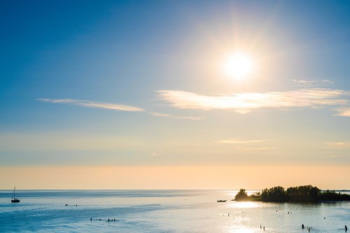 5x De natuur van Friesland verkennen 5x De natuur van Friesland verkennen