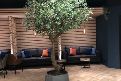 Haal de vakantie in huis met een kunst olijfboom Haal de vakantie in huis met een kunst olijfboom