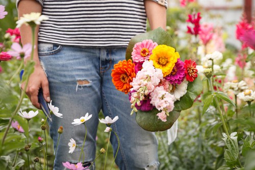 Zomer en voorjaar tip: bloemen pluktuinen in Nederland